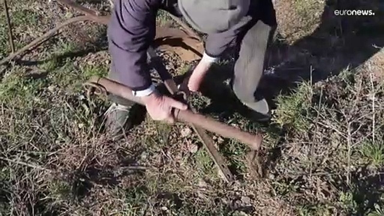 Albanien: Diesel zu teuer, Landwirtschaft wie anno dazumal