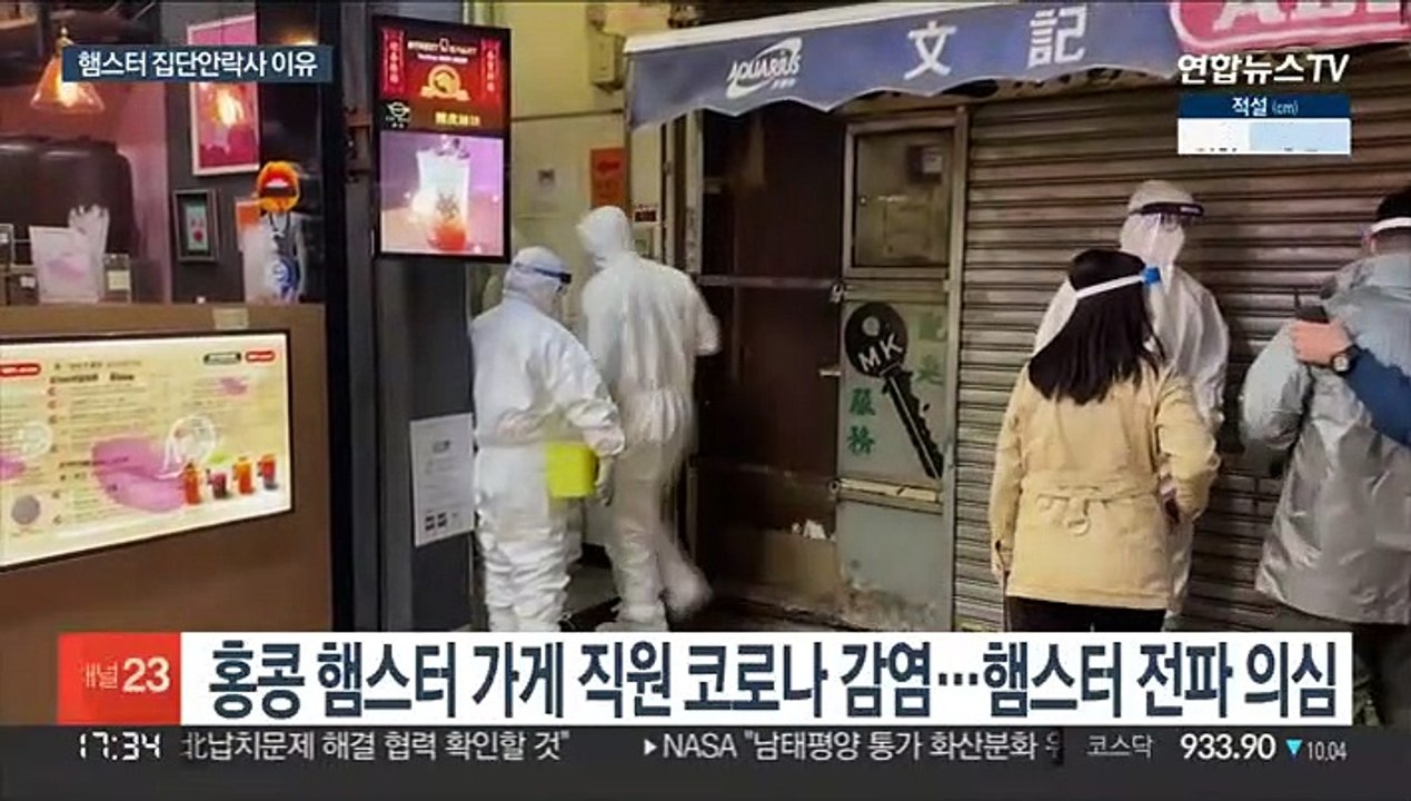홍콩 햄스터 2천마리 안락사 파문…"바이러스 돌연변이 발견"