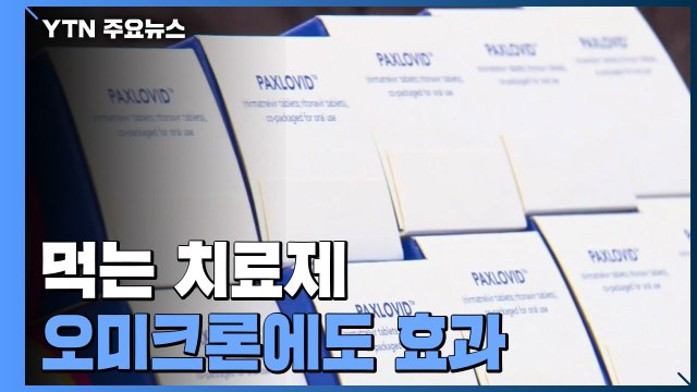 먹는 치료제 오미크론에도 같은 효과... 처방 활성화 위해 기준·절차 개선 / YTN