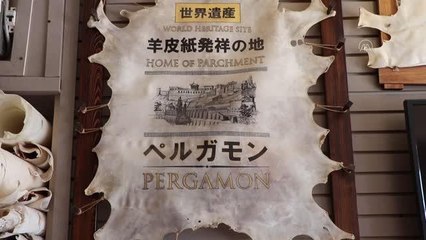 "Yaşayan İnsan Hazinesi" İsmail usta, mirasını aktaracak çırak arıyor