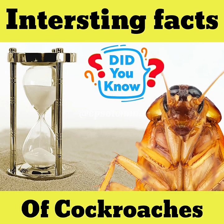 Shocking facts 