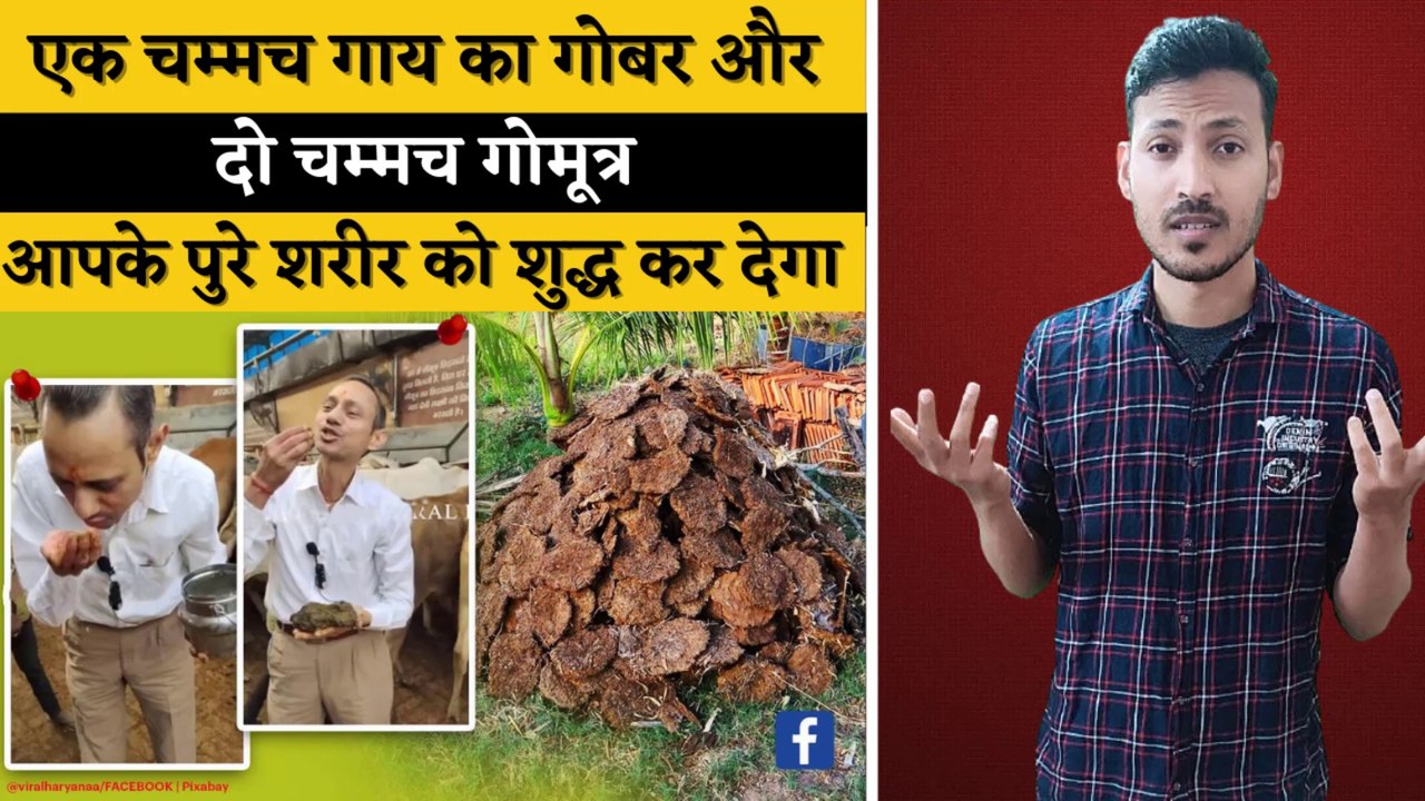 क्या गाय का गोबर और गोमूत्र सेहत के लिए अच्छा है ? | Dr Manoj Mittal Eating Dung | Adam Hunter