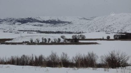 İç Anadolu'da kar yağışı etkili oldu