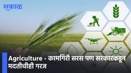 Agriculture - कामगिरी सरस पण सरकारकडून मदतीचीही गरज :  पाहा व्हिडीओ