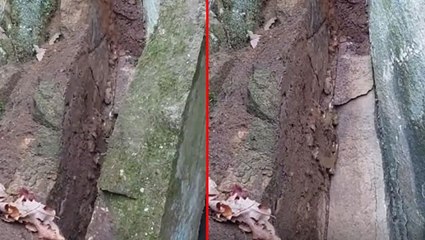 Topraktaki kaya parçasını kaldıran defineci, altın işlemeli yılan figürü buldu