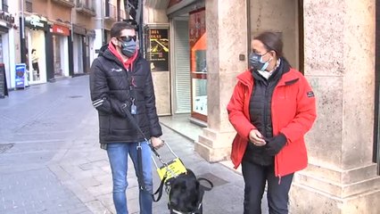 Xabat, el primer perro que guía a una persona ciega y sin manos