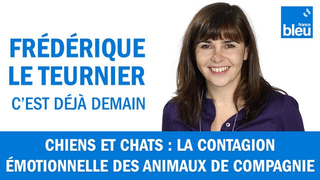 Chiens et chats : la contagion émotionnelle des animaux de compagnie
