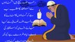 Adab qareena tv|islamic video|islamic prayer|prayer|dua