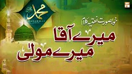 Mere Aaqa Mere Maula Agisni Ya Rasool Allah SAW - Sarwar Hussain Naqshbandi