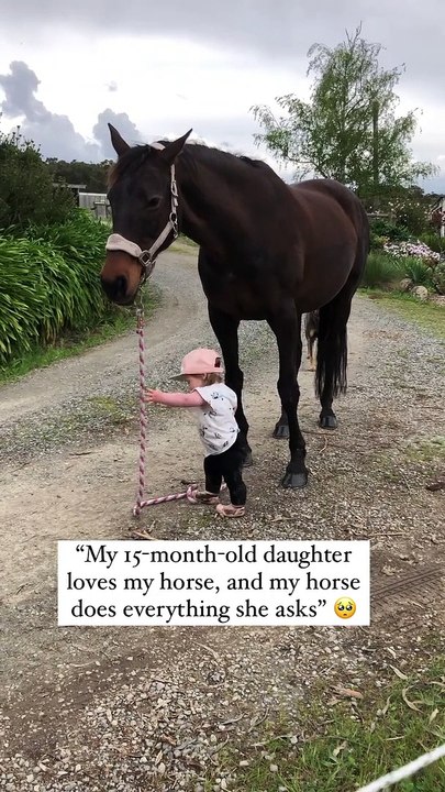 My 15 month old daughter loves my horse  | Cute Baby Video 