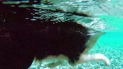 Albania & Thailand Connection 🌏