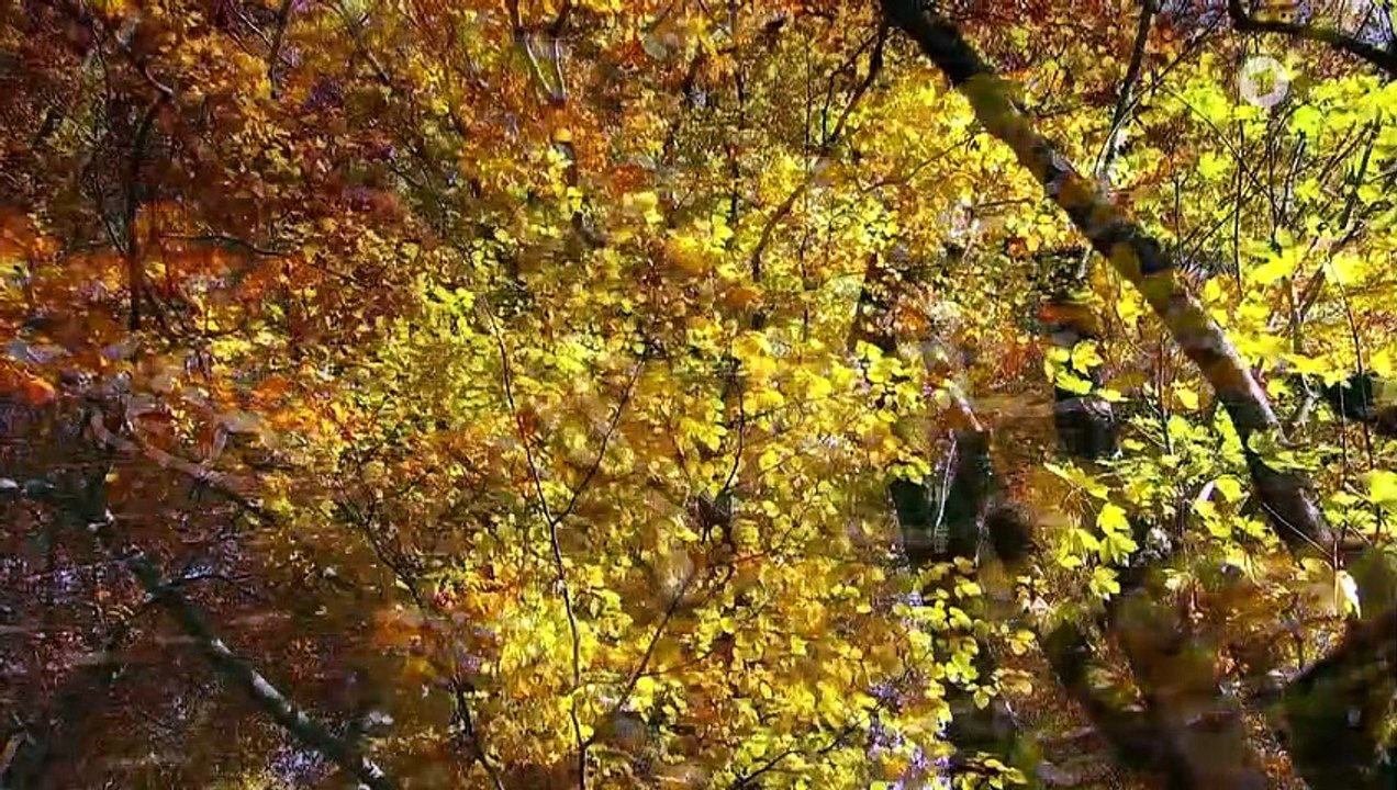 Sturm der Liebe Folge 3759 Versuchung