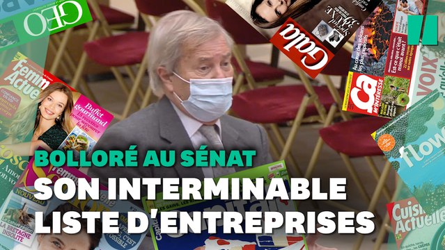 Face à Bolloré, ce sénateur a mis 6 minutes pour lister tous ses actifs