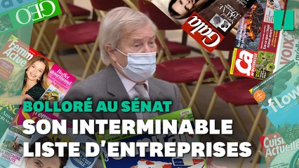 Face à Bolloré, ce sénateur a mis 6 minutes pour lister tous ses actifs