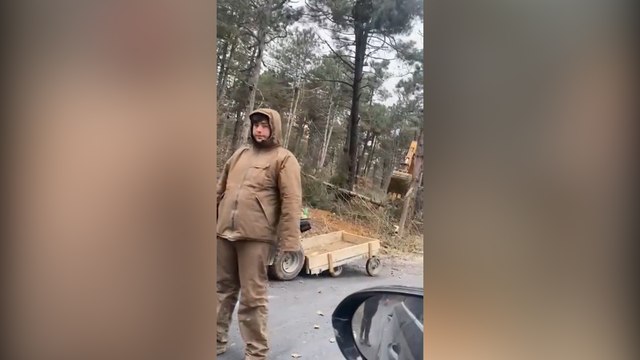 Çevrecileri isyan ettiren görüntü: 'Bu orman katliamına birisi dur desin'