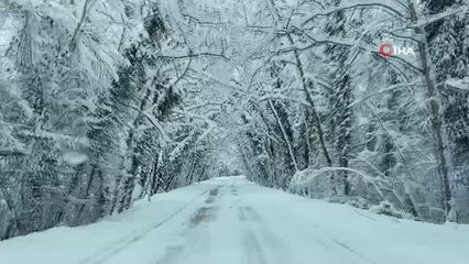 Ağaç Tünel eşsiz kar manzaraları sundu