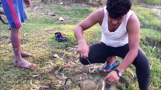 Snake Rescued From Tangled Mess