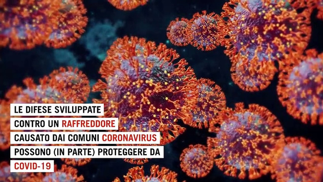 Cosa c'entra il raffreddore con il Covid e con il futuro dei vaccini ...
