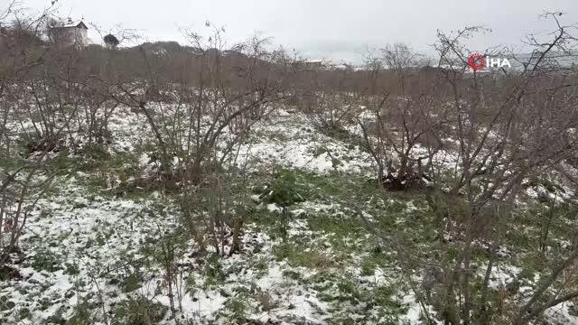 Soydan: Bölgedeki kar yağışı fındık açısından oldukça faydalı