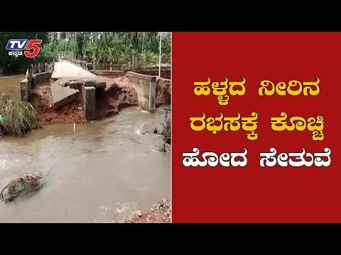 ಹಳ್ಳದ ನೀರಿನ ರಭಸಕ್ಕೆ ಕೊಚ್ಚಿ ಹೋದ ಸೇತುವೆ | Davanagere Rain News | TV5 Kannada