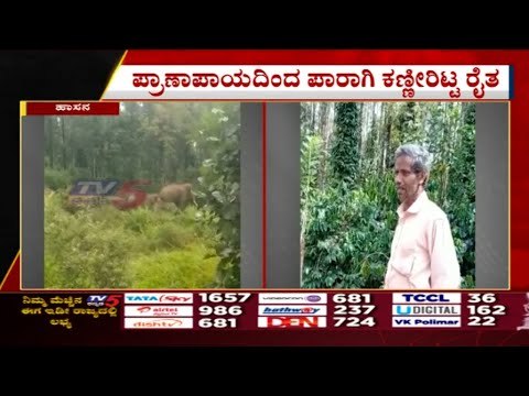 ಆನೆಗಳ ದಾಳಿಗೆ ಬೆಳೆ ನಾಶ ರೈತ ಕಣ್ಣೀರು..! | Farmers | Hassan | Tv5 Kannada