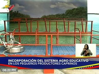 Granja Mira Bella mejora la cría de ganado nacional caprino con la incorporación de la agroeducación