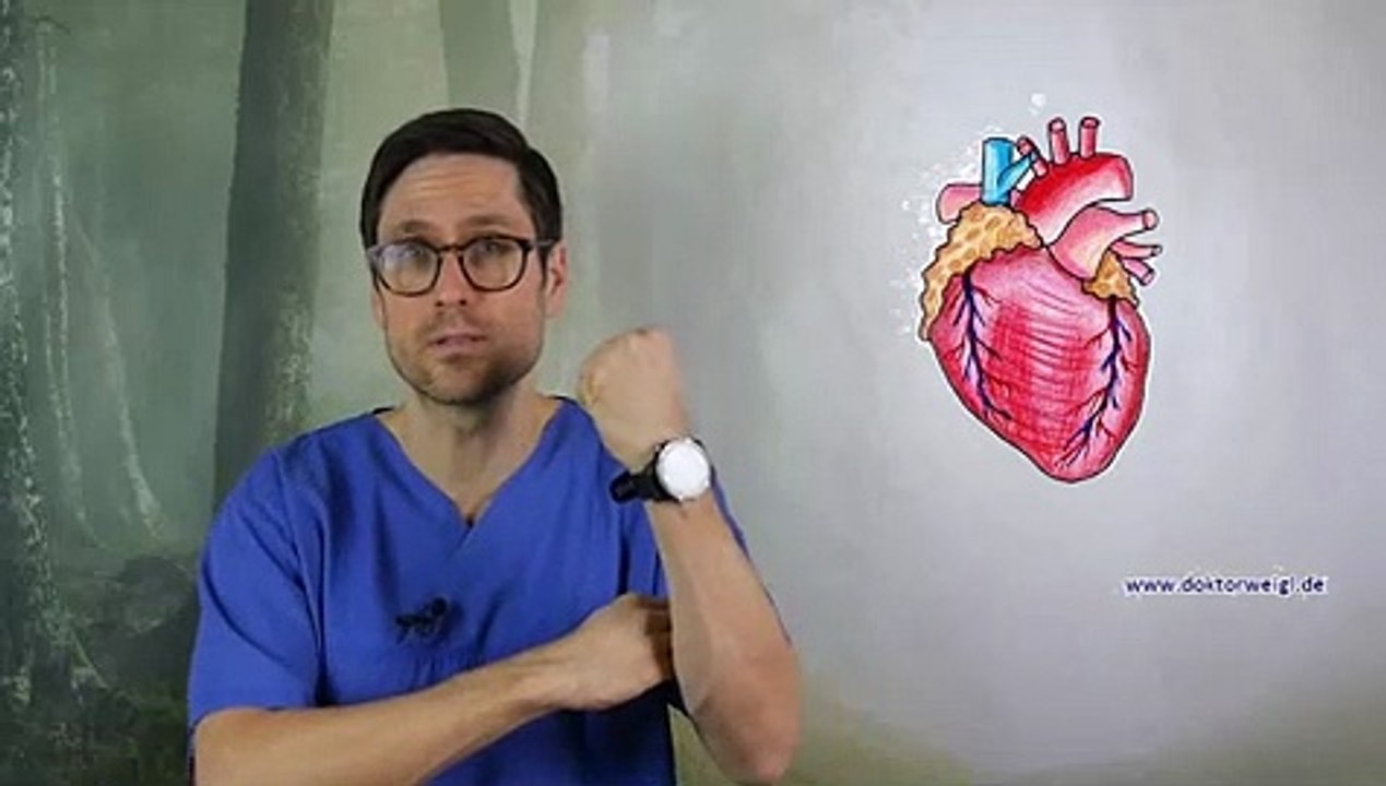 Kreatin Wirkung - Prophylaxe - Können auch unser Herz- Knochen - Gehirn vom Supplement profitieren