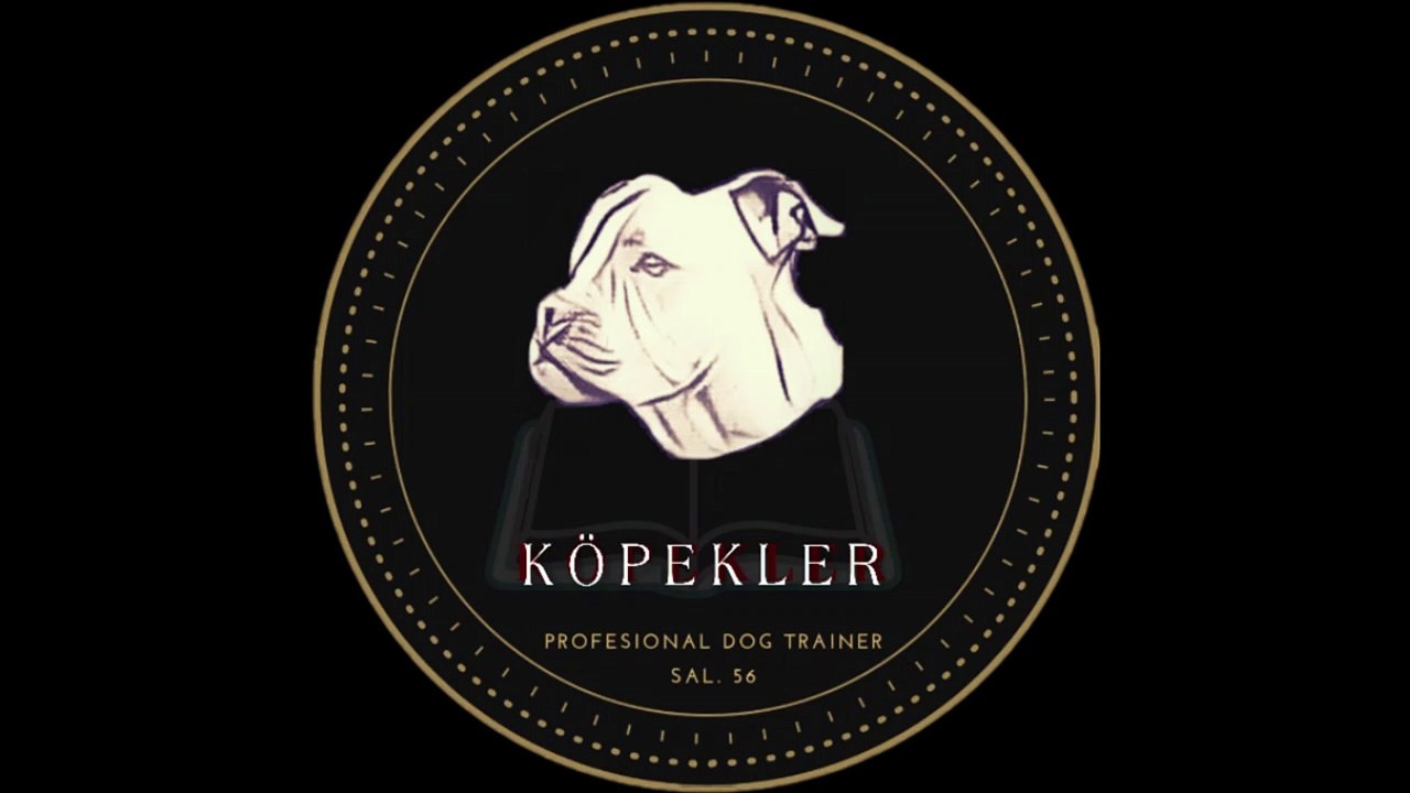 CHANNEL TRAILER
