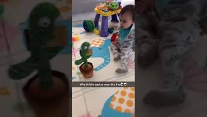 Talking Cactus Makes Interesting Sounds