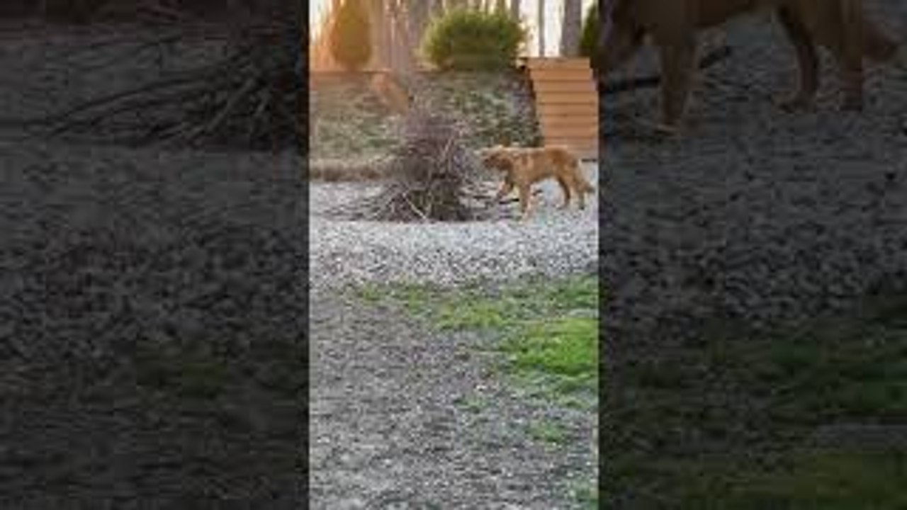 When You Find the PERFECT Stick