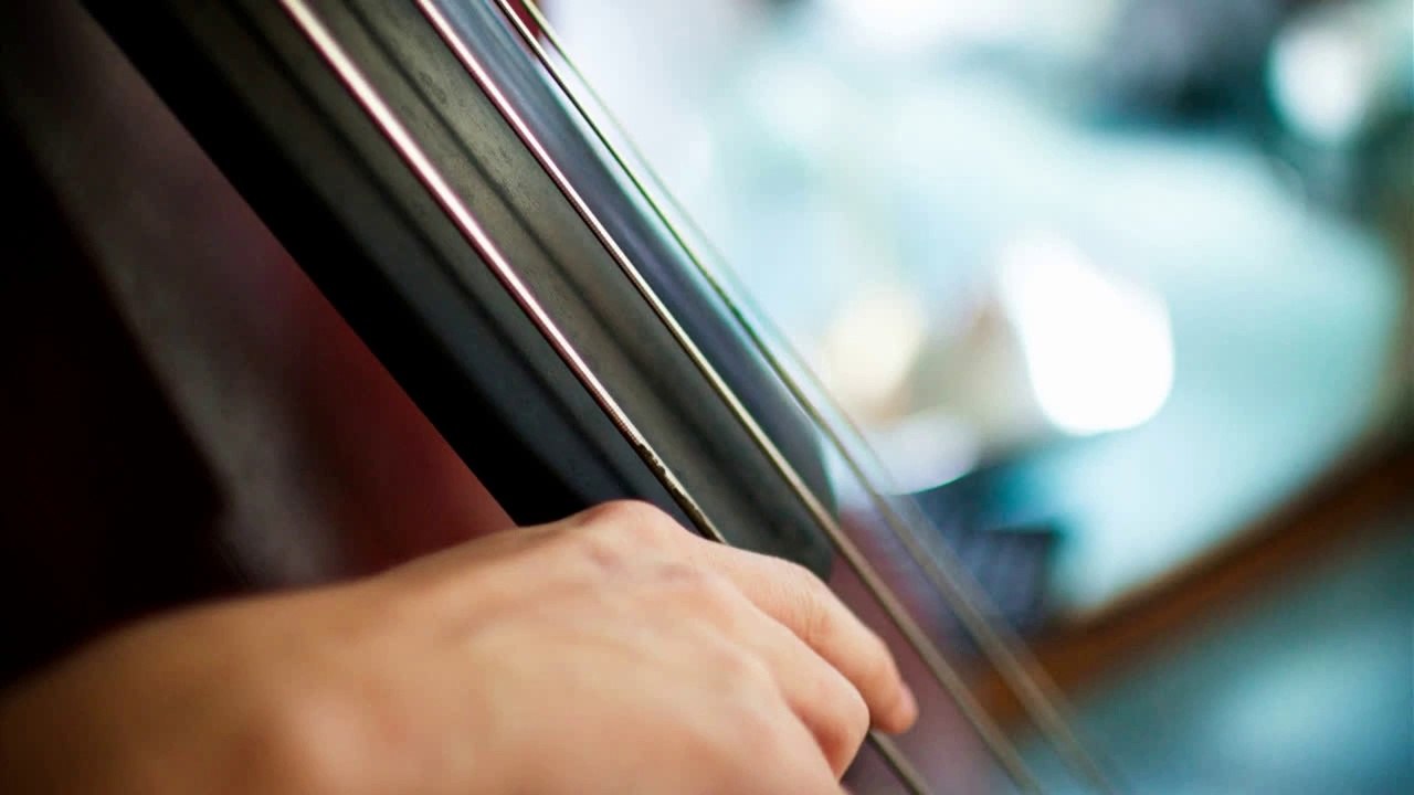 Pizzicato_ Music Terminology