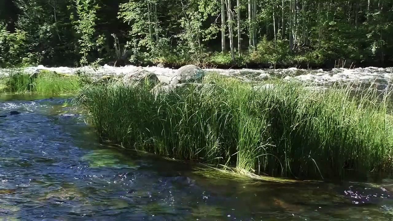 Asmr environmental and nature sounds to relax (river 6) / Asmr sonidos ambientales y de la naturaleza para relajarte (río 6)