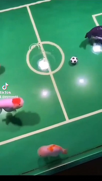 who is the winner