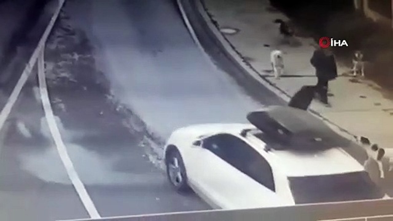 Sokak köpekleri bir kişiye daha kabusu yaşattı