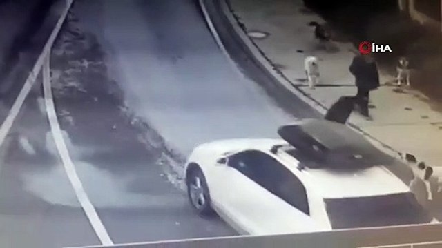 Sokak köpekleri bir kişiye daha kabusu yaşattı