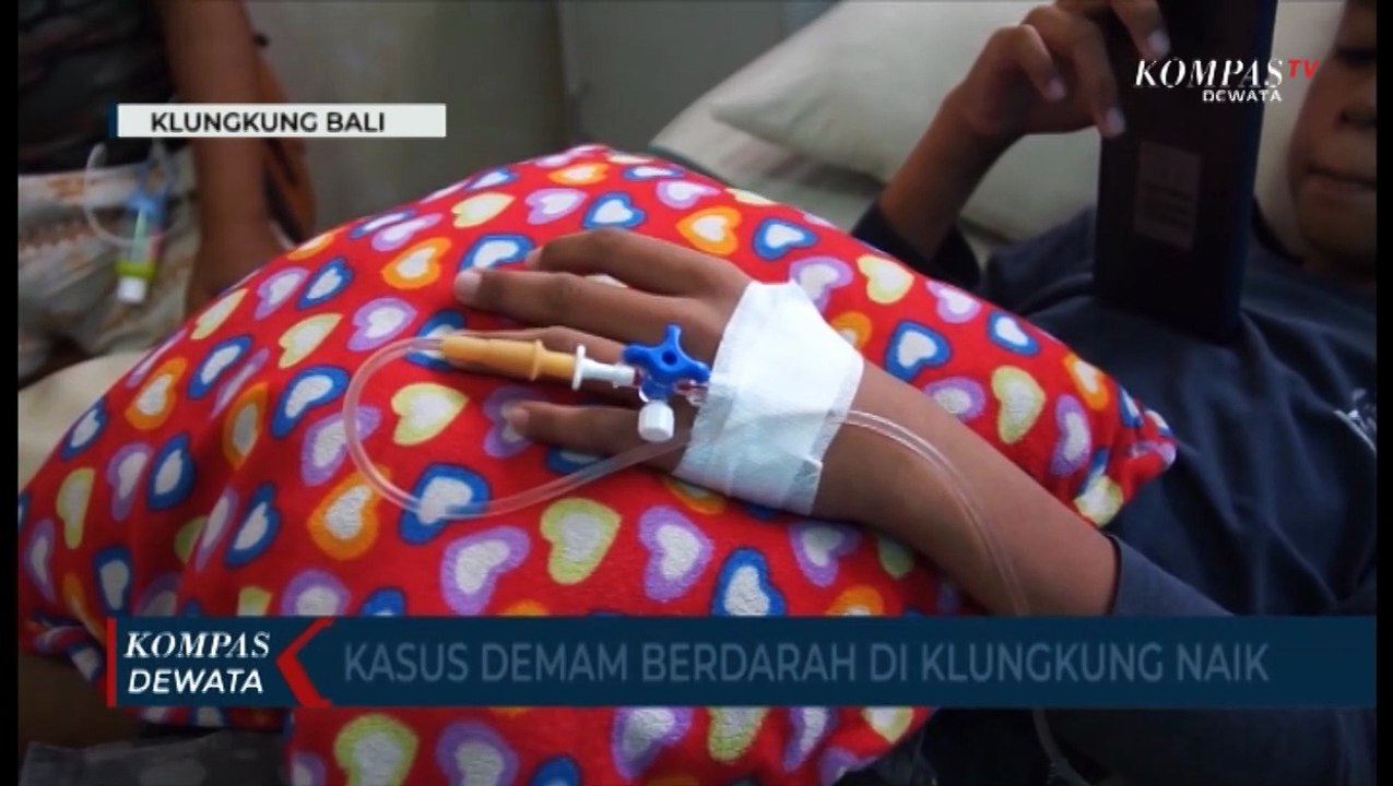 Klungkung Waspadai Demam Berdarah