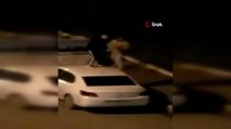 Başıboş Pitbull’un saldırdığı vatandaş arabanın üstüne çıkarak kurtuldu