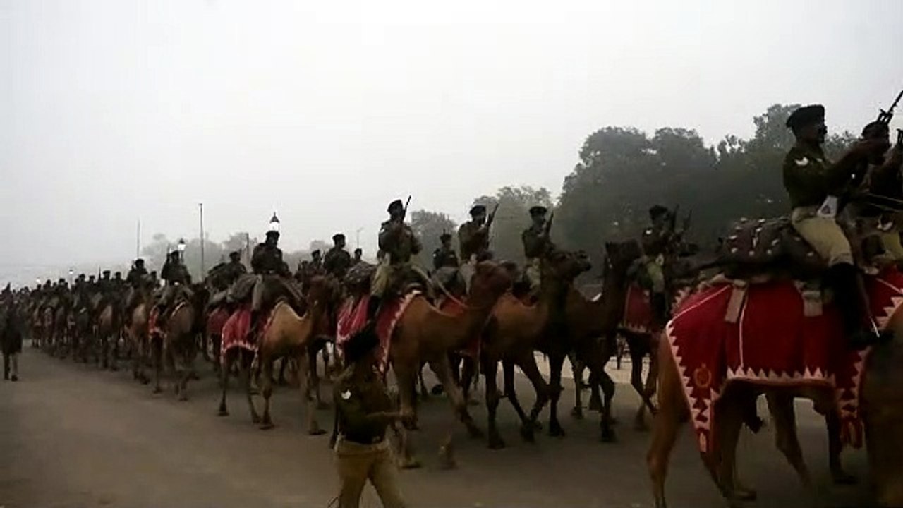 राजपथ पर बीएसएफ का 100 ऊंट का दस्ता करेगा परेड
