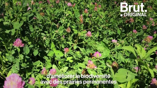 Félix Noblia teste des pratiques agricoles alternatives