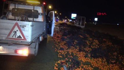 TIR'IN DORSESİNDEKİ TONLARCA MANDALİNA YOLA SAÇILDI