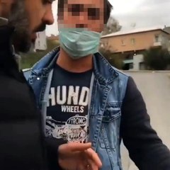 Köpek kavgası: "Hayvana taş attım, sana değil"