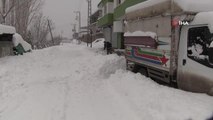 Şırnak'ta ağaçlar kırıldı, araçlar karda kayboldu, 30'a yakın köy yolu ulaşıma kapalı