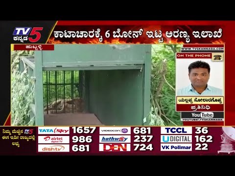 ಭಯದಲ್ಲೇ ಜೀವನ ಮಾಡ್ತಾ ಇದ್ದಾರೆ ಹುಬ್ಬಳ್ಳಿಯ ಜನ..! | Karnataka Politics | Cheetah | Tv5 Kannada