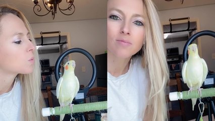 'This duo of singing cockatoo and his 'hypeman' is ADORABLE to the UTMOST'