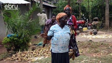 Tea Farmers Plea In Shinyalu They Want The County Government To Construct A Tea Factory In The Area