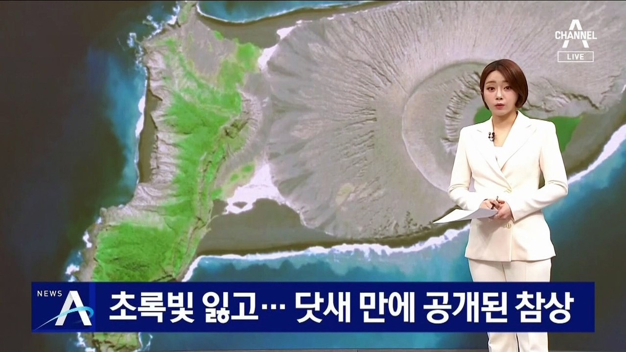 초록빛 잃은 통가 첫 공개…닷새 만에 공개된 참상
