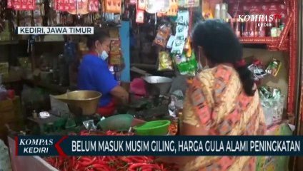 Akibat Pasokan Berkurang, Harga Gula Pasir Merangkak Naik