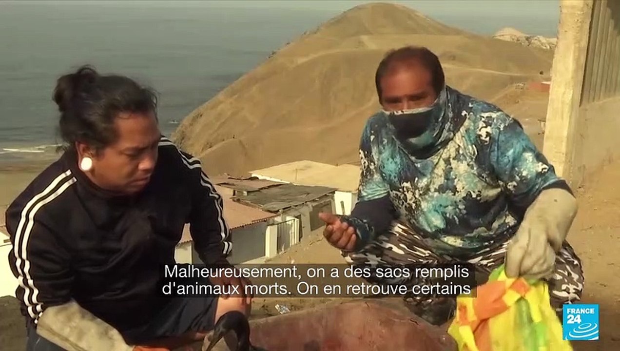 Marée noire au Pérou : le gouvernement réclame des dédommagements à Repsol