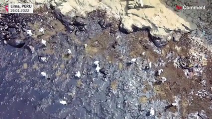 Lo sversamento di seimila barili di greggio investe le coste peruviane