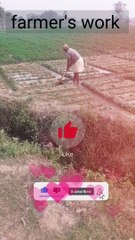 farmer's work #farmer #video #entertainment #trending #indianfarmer